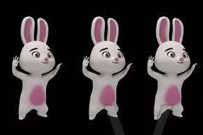 兔子舞舞曲